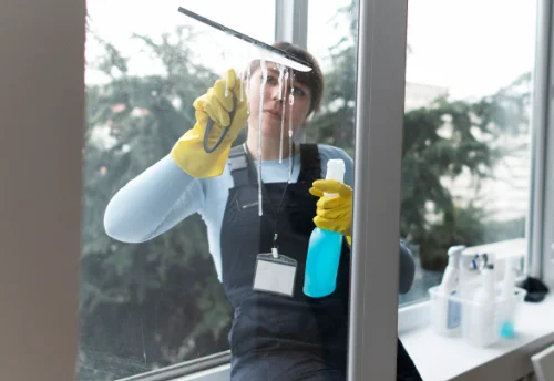 Nettoyage de vitres intérieures et extérieures à Camélas